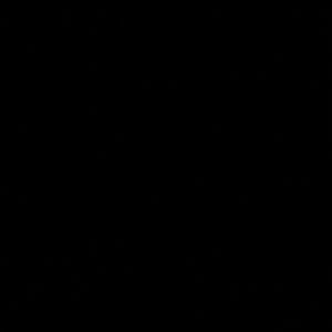 Meet your Posher, Aijenei